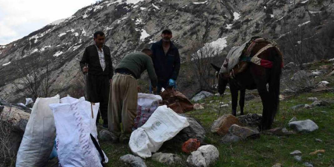 Sabah ezanında katırlara atlayıp yola çıkıyorlar! Dağ bayır gezip tek tek topluyorlar 7